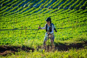 BIB: 
                            <button type="button" onclick="openModal(19160271)" class="btn btn-primary btn-sm float-right btn-popup" data-toggle="modal" data-target=".modal-high-quality">
                        <i class="fas fa-shopping-cart"></i> Add to Cart
                    </button>
                                            <button type="button" onclick="isThisMe(19160271, true)" class="btn btn-success btn-sm float-right btn-popup btn-isme hidden" data-toggle="tooltip" data-placement="bottom" title="นี่คือรูปของคุณใช่ไหม คลิกที่นี่เพื่อเอาเข้าอัลบั้ม">
                        <i class="fas fa-plus"></i> Add to album
                    </button>
                    <button type="button" onclick="isThisMe(19160271, false)" class="btn btn-warning btn-sm float-right btn-popup btn-isnotme hidden">
                        <i class="fas fa-ban"></i> Remove from album
                    </button>